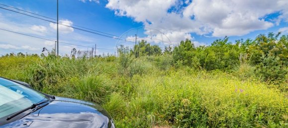 34400m² Land in Gondomar, Portugal No. 38100 13