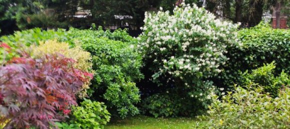 Apartamento T3 em Ville-d'Avray, France N.º 179688 11