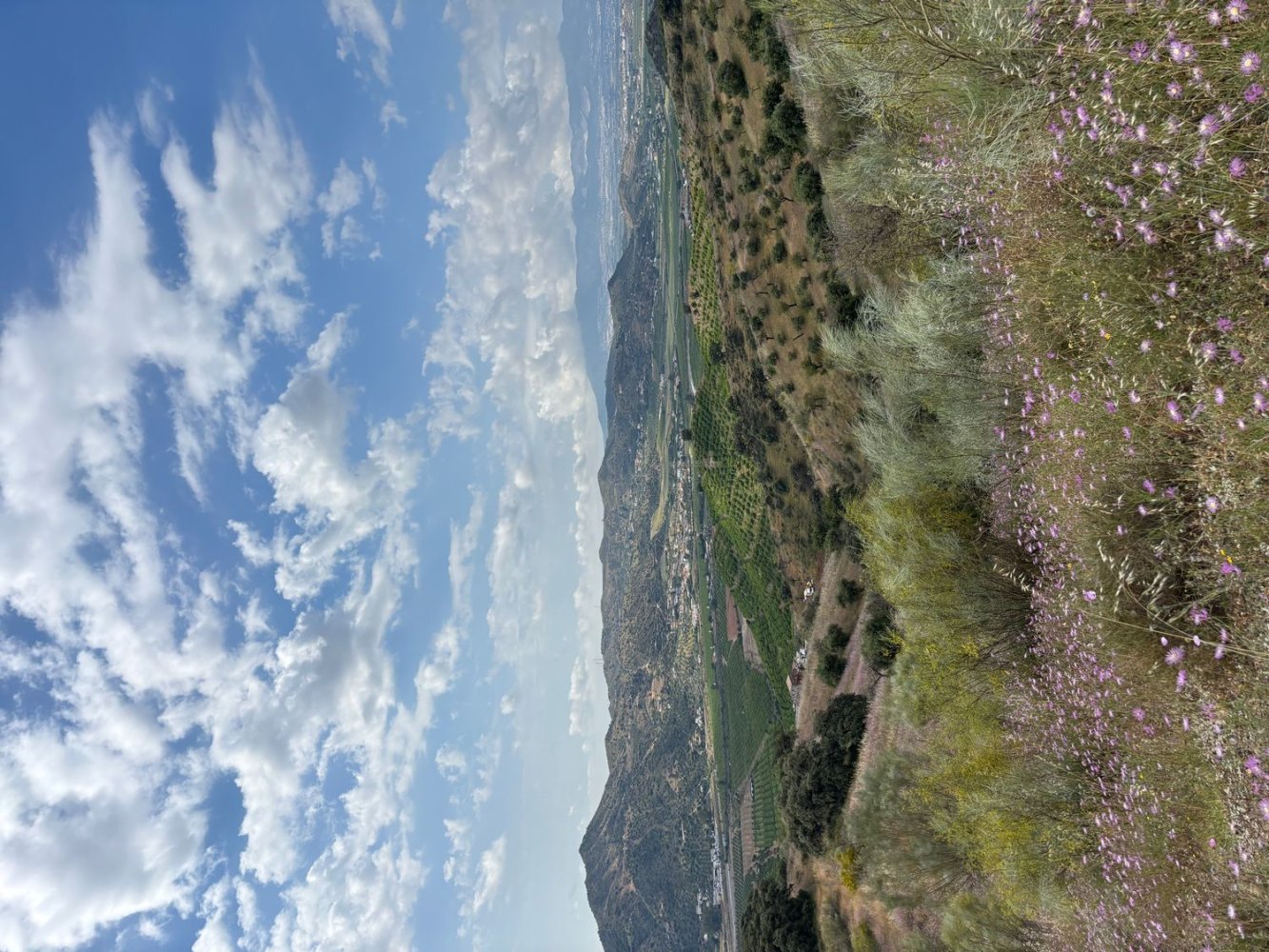 Terrain à Puerto De La Torre, Spain No. 165372