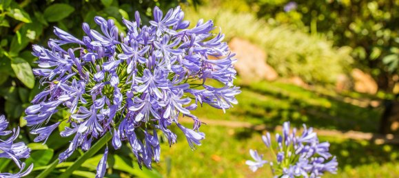 Вилла с 8 спальнями в Малага, Испания № 104596 35