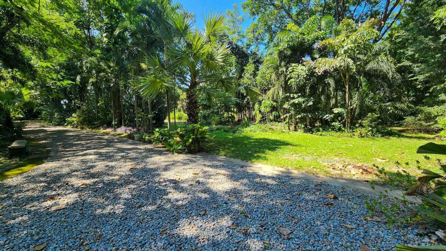  قطعة أرض في Chiang Mai, Thailand رقم 57728