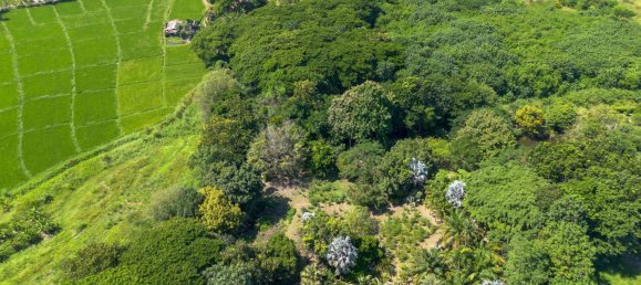  Land in Chiang Mai, Thailand No. 57728 18