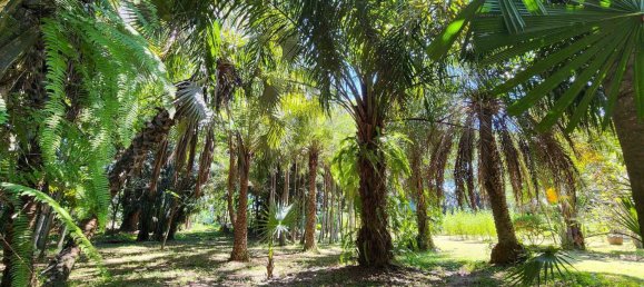  Land in Chiang Mai, Thailand No. 57728 17