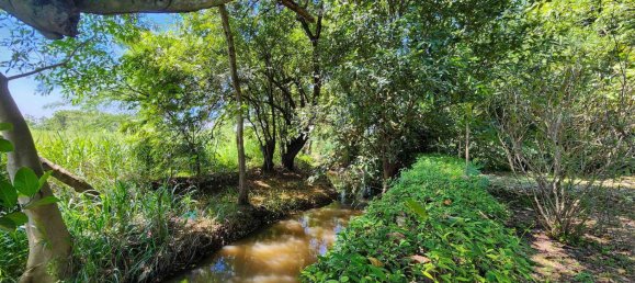  Land in Chiang Mai, Thailand No. 57728 7