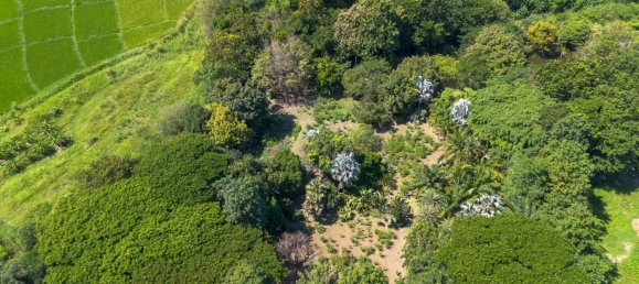  Land in Chiang Mai, Thailand No. 57728 9