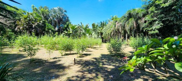  Land in Chiang Mai, Thailand No. 57728 4