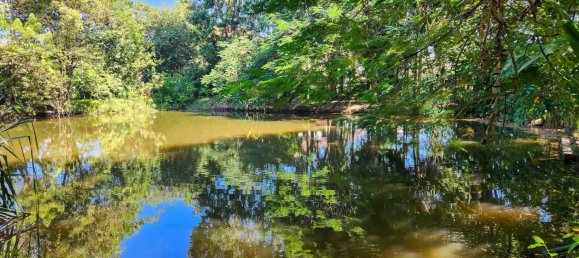  Land in Chiang Mai, Thailand No. 57728 11