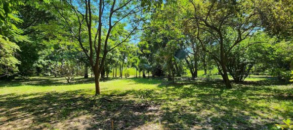  Land in Chiang Mai, Thailand No. 57728 15