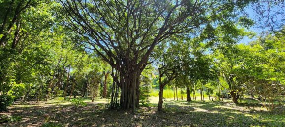  Land in Chiang Mai, Thailand No. 57728 16