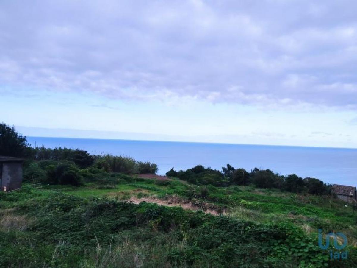 4 bedrooms House in Santana, Portugal No. 404