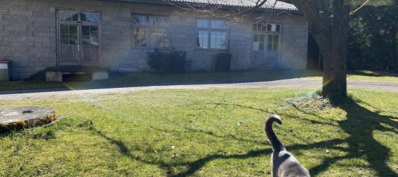 Terrain à Ferlach, Austria No. 135799 2