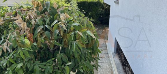 3 rooms House in Grisignano di Zocco, Italy No. 263148 22