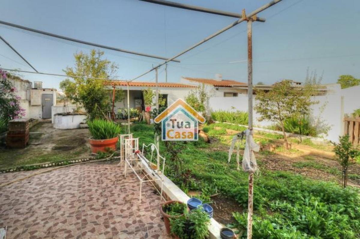 3 غرف نوم منزل في Olhao, Portugal رقم 540