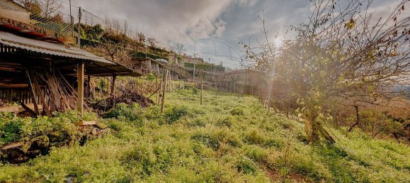 3 bedrooms House in Espadanedo, Portugal No. 155768 14