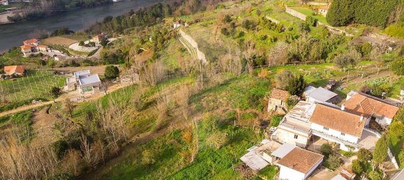 3 bedrooms House in Espadanedo, Portugal No. 155768 19