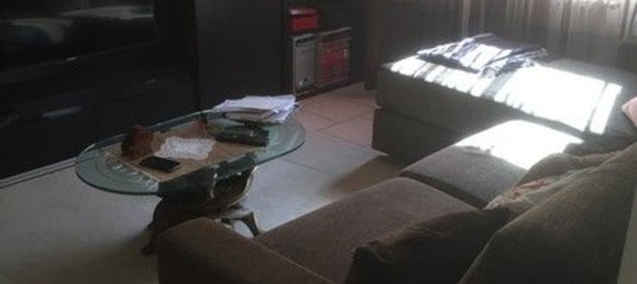 3 rooms Apartment in Cervia, Italy No. 75974 17