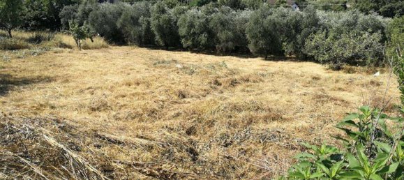 1080m² Land in Zagarolo, Italy No. 73554 6