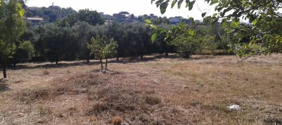 1080m² Land in Zagarolo, Italy No. 73554 5