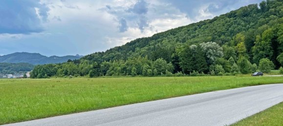 Grundstück in Bergheim, Austria 13592m², Nr. 241618 2