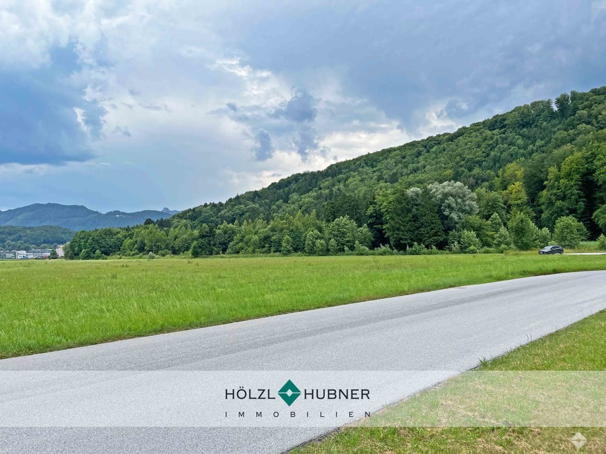 Grundstück in Bergheim, Austria 13592m², Nr. 241618