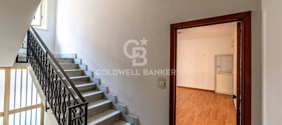 5 rooms Office in Aci Sant'Antonio, Italy No. 259623 22