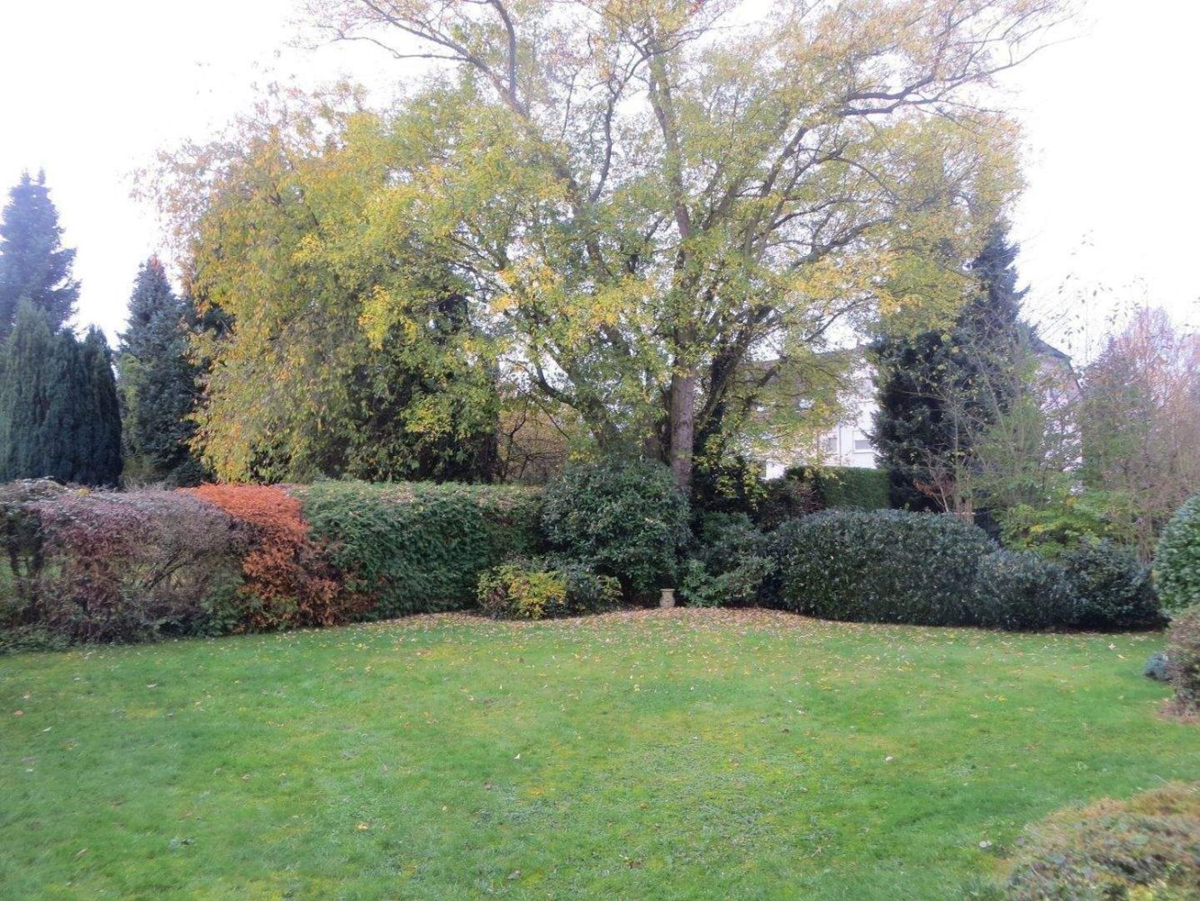 6 rooms House in Neuwied, Germany No. 292165