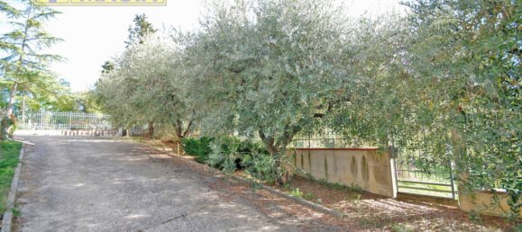 3 غرف نوم فيلا في Ripatransone, Italy رقم 147245 25