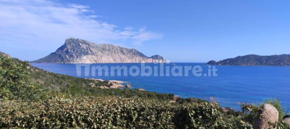 2 bedrooms Villa in San Teodoro, Italy No. 308819 4