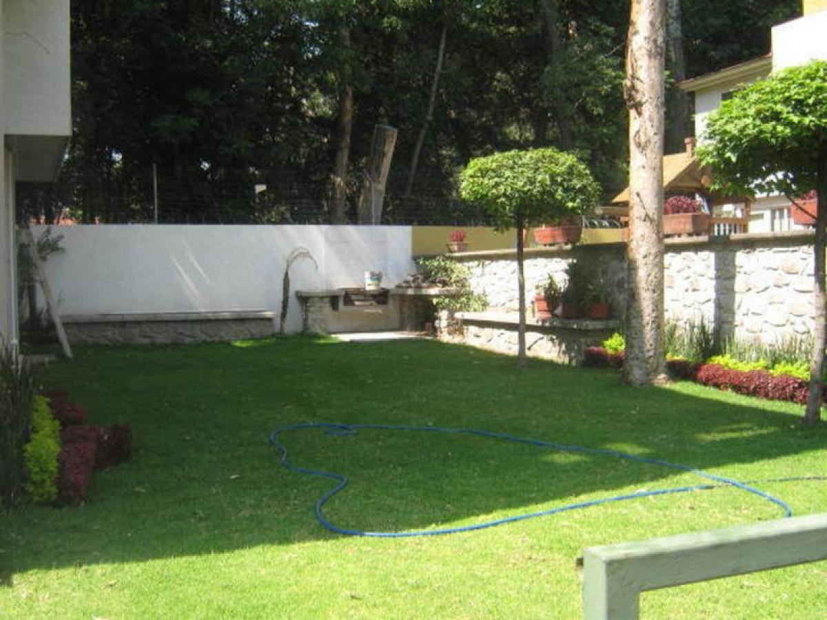 3 chambres Maison à Ciudad Lopez Mateos, Mexico No. 227262