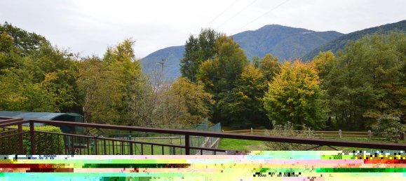 2 rooms Apartment in Craveggia, Italy No. 221505 48