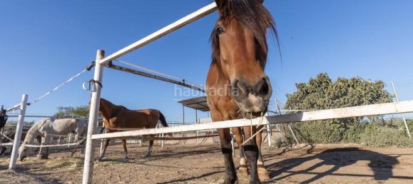 Casa T1 em La Zubia, Spain N.º 167695 39