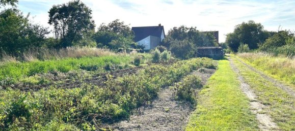 8 rooms House in Saxony, Germany No. 272287 21