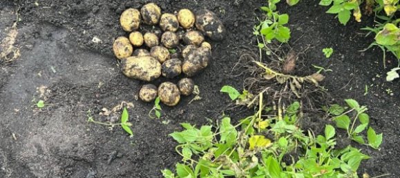  قطعة أرض في Hanover, Germany رقم 307530 7