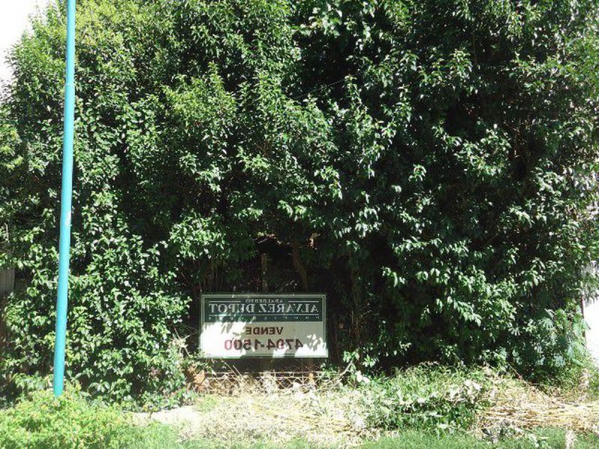 Terrain à Vicente Lopez, Argentina No. 48276