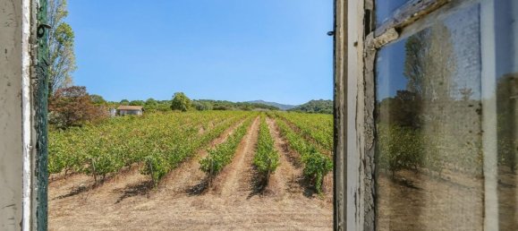 25 غرف نوم منزل في Setubal, Portugal رقم 142520 46