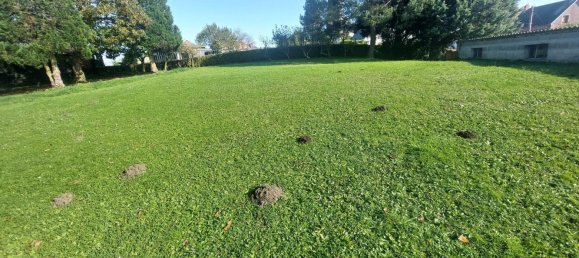 6 غرف نوم منزل في Remigny, France رقم 51219 21