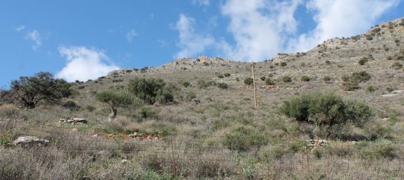 Hotel in Neapoli, Greece 24233m², Nr. 5218 4