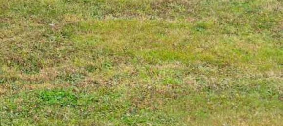  Land in Orgerus, France No. 110269 2