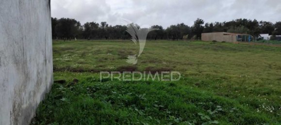 1 غرف نوم منزل في Santiago do Cacem, Portugal رقم 77001 16