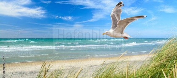 Studio à Lubeck, Germany No. 107685 4