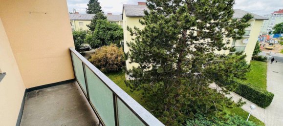 3 rooms Apartment in Wiener Neudorf, Austria No. 51456 6