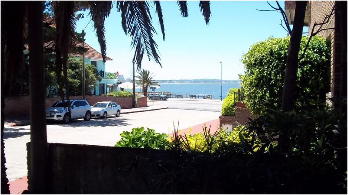 3 chambres Maison à Maldonado, Uruguay No. 4828