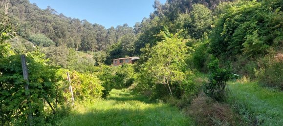  قطعة أرض في Amares, Portugal 8936متر مربع رقم 34993 2