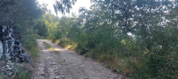  قطعة أرض في Amares, Portugal 8936متر مربع رقم 34993 9