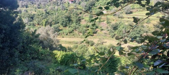  قطعة أرض في Amares, Portugal 8936متر مربع رقم 34993 8