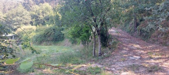  قطعة أرض في Amares, Portugal 8936متر مربع رقم 34993 7