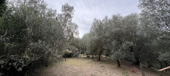 12 rooms House in Cetona, Italy No. 54583 14