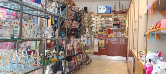 2 rooms Commercial property in Rimini, Italy No. 226897 7