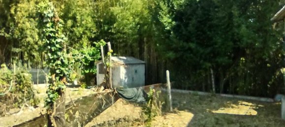 Apartamento de 4 habitaciónes en Belvedere Ostrense, Italy No. 92685 10