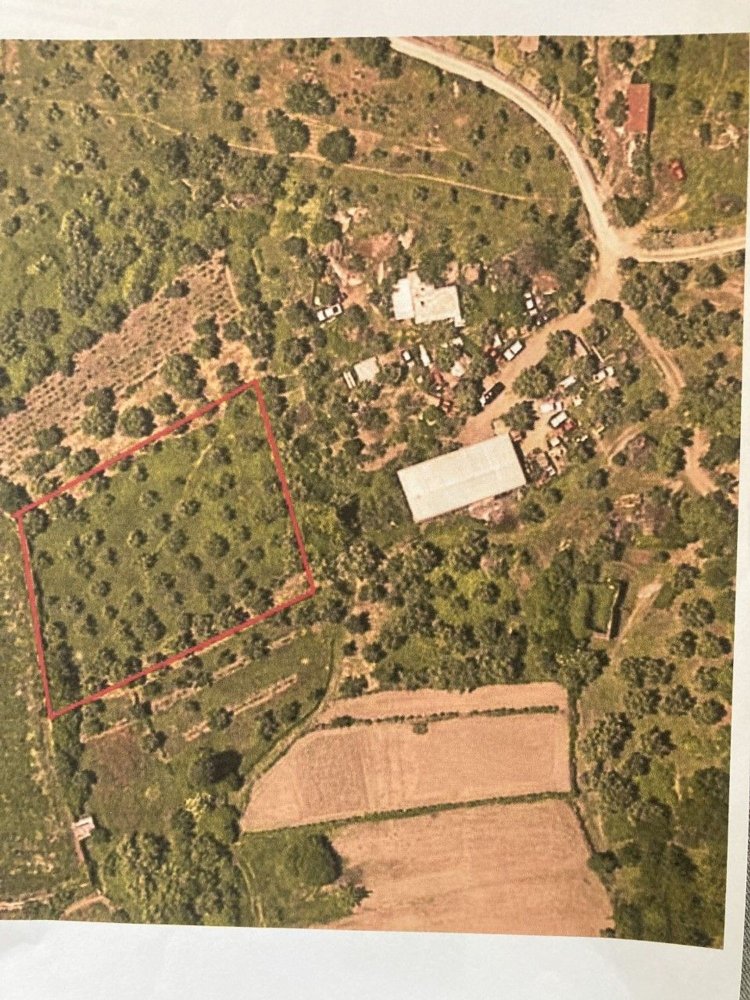 Terreno en Gouveia, Portugal No. 252626